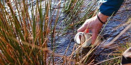 How Does an Activated Carbon Water Filter Work?