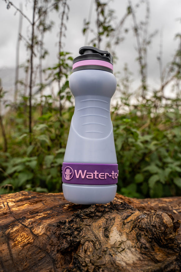 Sugarcane Bottle - 550ml - Acai - Water-to-Go