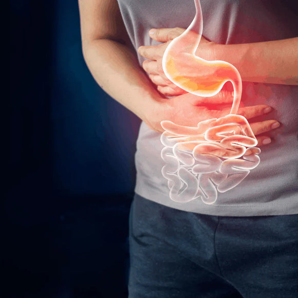 Cryptosporidium: Causes, Symptoms & Protection