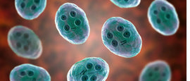 Giardia: Symptoms, Treatment & Prevention